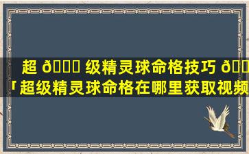 超 🐛 级精灵球命格技巧 🐘 「超级精灵球命格在哪里获取视频」